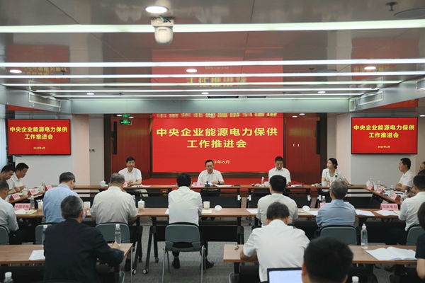 国资委召开中央企业能源电力保供事情推进会-尊龙凯时