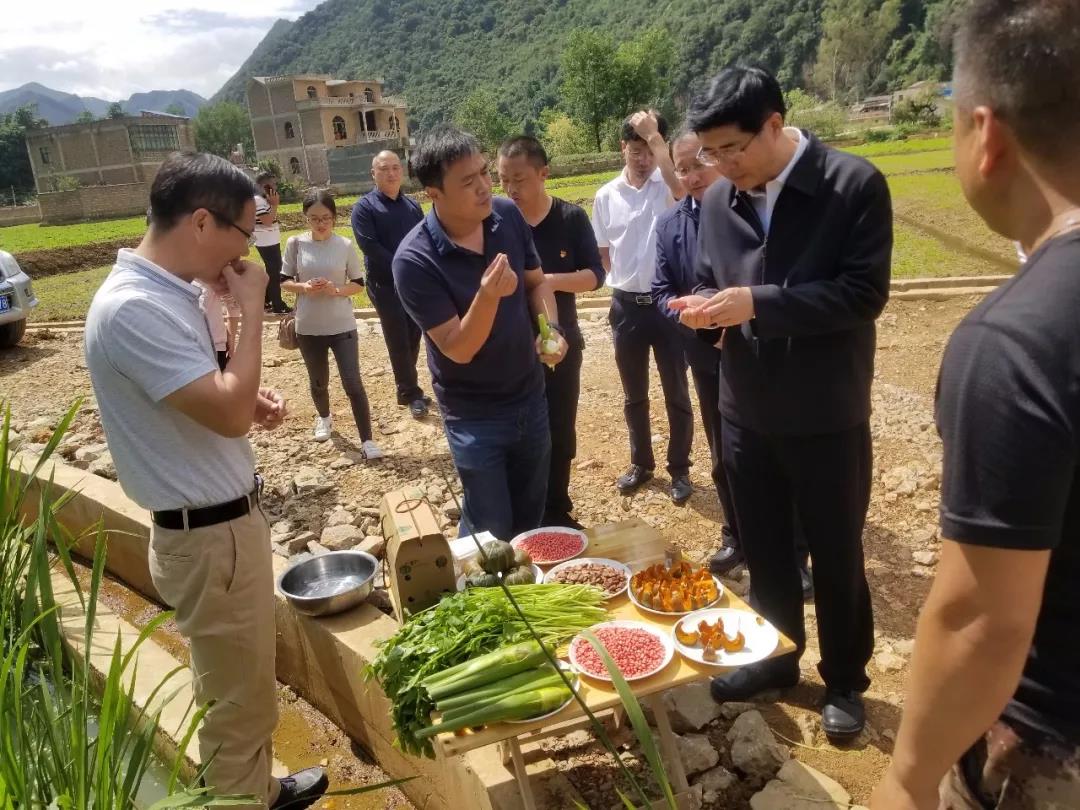 尊龙凯时-人生就是搏中国官方网站