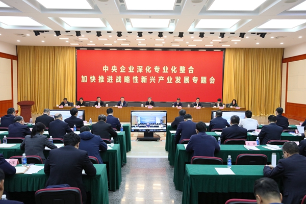 国务院国资委召开中央企业深化专业化整合加速推进战略性新兴工业生长专题会-尊龙凯时
