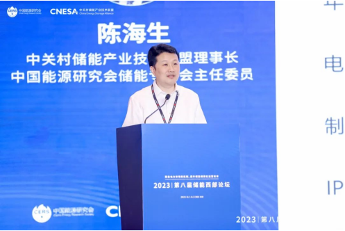 CNESA宣布：2023上半年储能产量与项目规模齐升-尊龙凯时