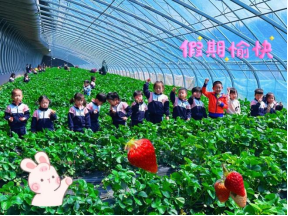 抓质量打造效劳品牌  拼全力修建品质大厦-尊龙凯时
