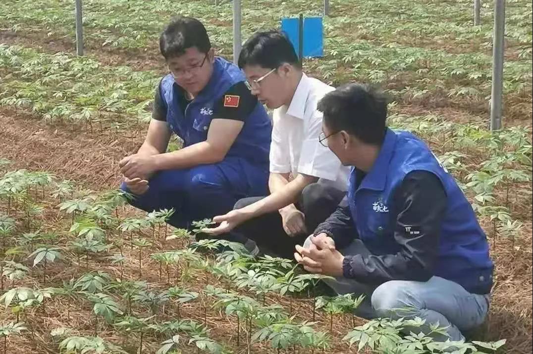 尊龙凯时-人生就是搏中国官方网站