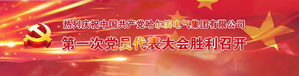 第一次党员代表大会-尊龙凯时